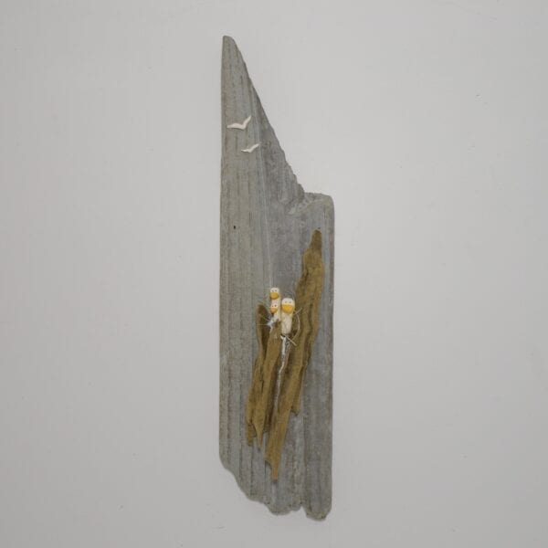 driftwood