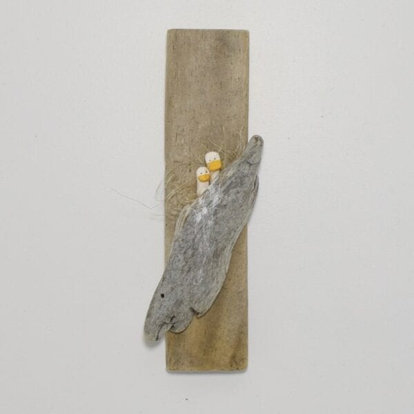 driftwood