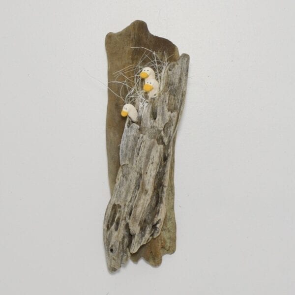 driftwood