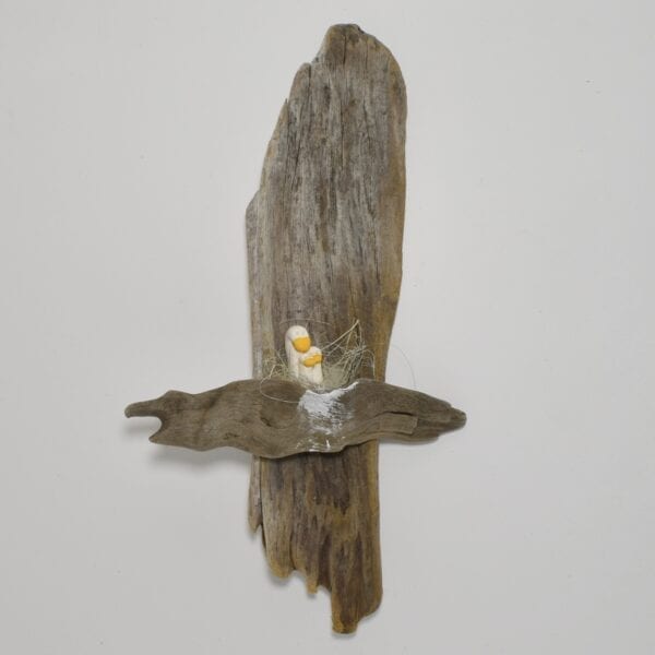 driftwood