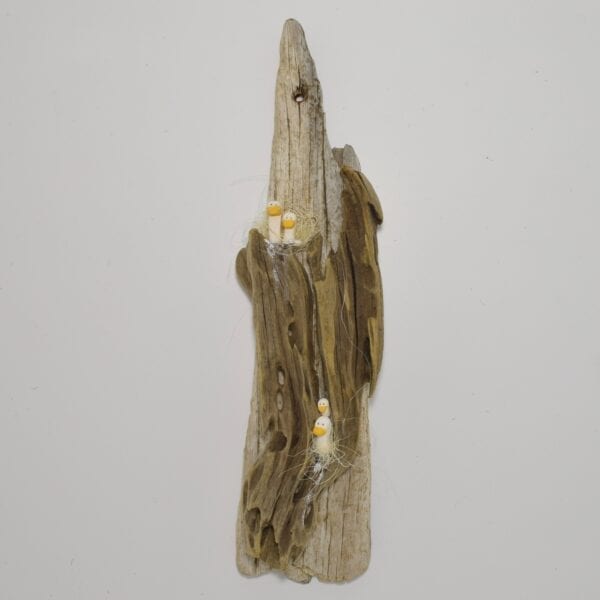 driftwood