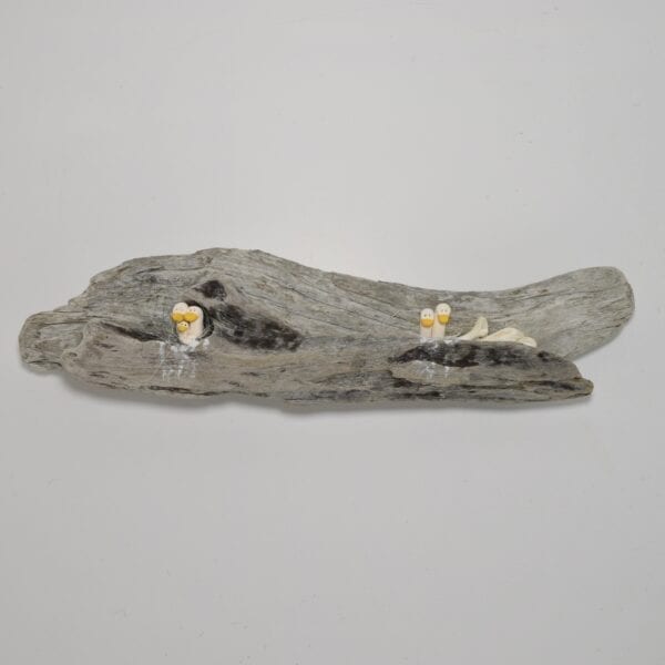 driftwood