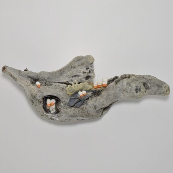 driftwood