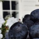 Organic plums Motueka Valley