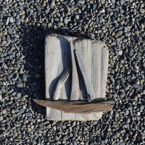 driftwood