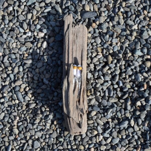 driftwood