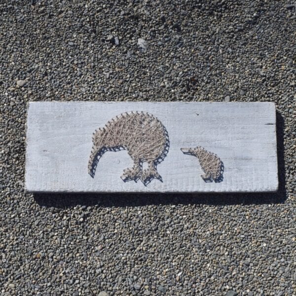 string art kiwi birds